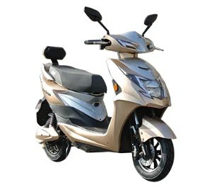 Xe tay ga điện 1000W-2000W